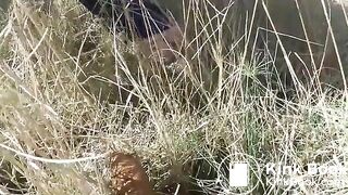 Poo in the field.