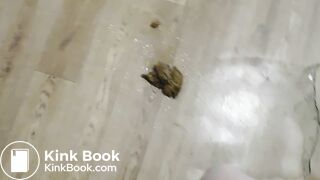 poops during a Striptease