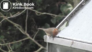 perversions with Santa for Christmas