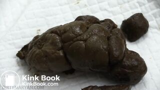 Random Poop Compilation Collective.. - video 34
