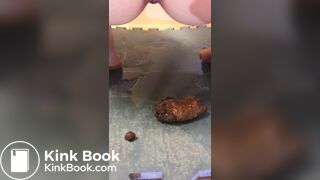 Random Poop Compilation Collective.. - video 23