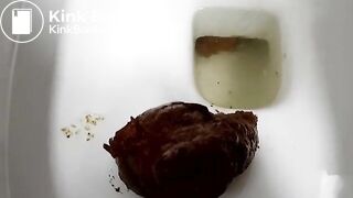 Scat1179
