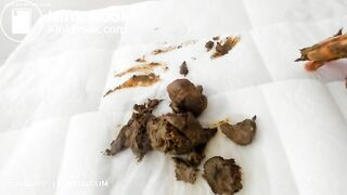 Scat1188