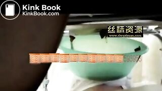 Chinese scat 12