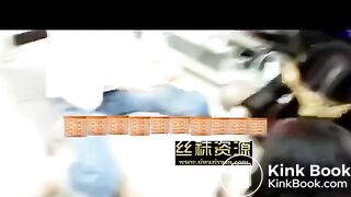 Chinese scat 12