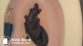She takes a huuuge shit in the toilet!