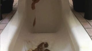 Japanese girls shitting (2/3)