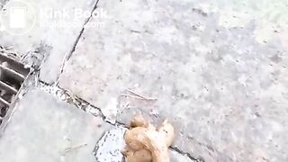 Pooping ! - video 2