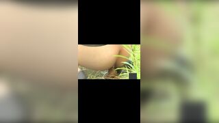 japanese outdoor pooping - video 3