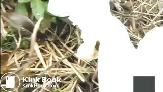 japanese outdoor pooping - video 3