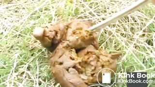 japanese outdoor pooping - video 3