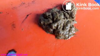 shameless girl pooped in a bus stop