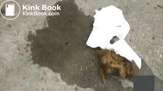 japanese outdoor pooping - video 4