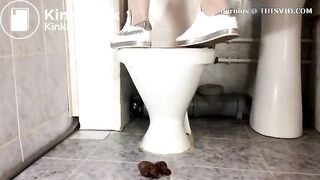 Scat1038