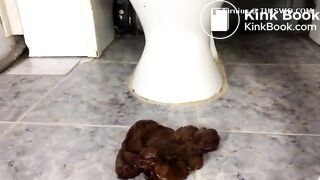 Scat1038