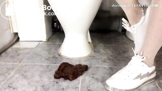 Scat1038