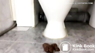 Scat1038