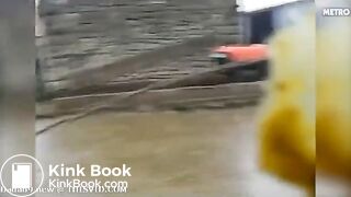 Public fecal chalenge