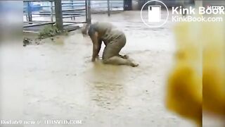 Public fecal chalenge