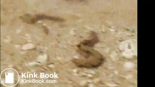 Shitting in the sea 2