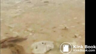 Shitting in the sea 2