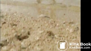 Shitting in the sea 2