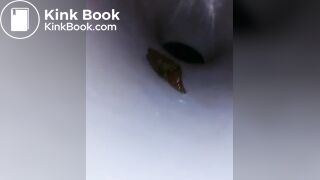 Potty shit - video 2