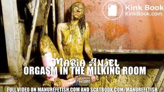 Maria Anjel Orgasm in the milking room