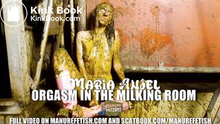 Maria Anjel Orgasm in the milking room