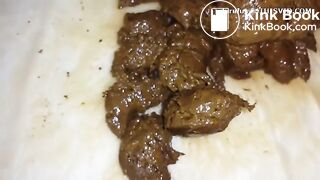 Scat1337