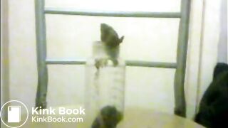 FILLING 3 BABY BOTTLES