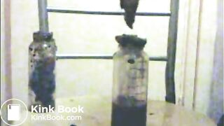 FILLING 3 BABY BOTTLES