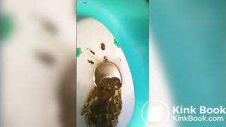 Breaking your friends Toilet!