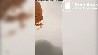 Scat795