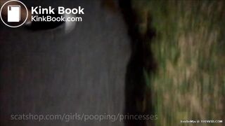 Two girls smear poop on car windows and door handle.