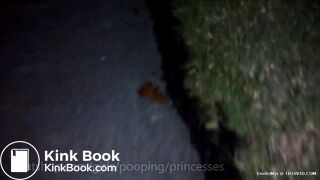 Two girls smear poop on car windows and door handle.