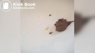 suppository shit by constipated girl