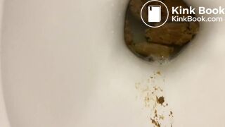 Toilet Shit & Piss