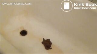 Pissing and shitting in the bathtub
