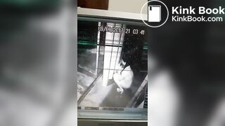 Hzhdkd