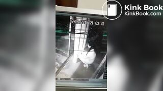 Hzhdkd