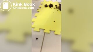 Random Poop Compilation Collective.. - video 9