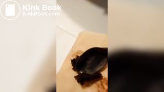 Please, come and taste