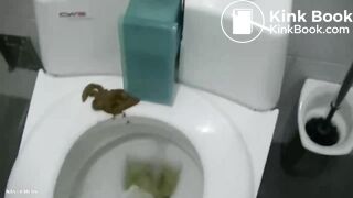 Evil girl sabotages self cleaning toilet