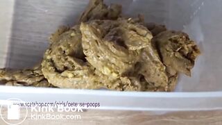 Gateau a la Merde - Poop Cake