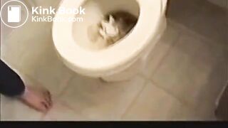 Girls Toilet Pooping