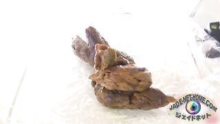 Poop_123179