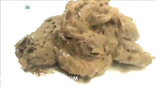 Scat637t