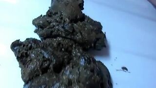 Scat620