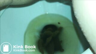 A few self shot clips from the same hot girl